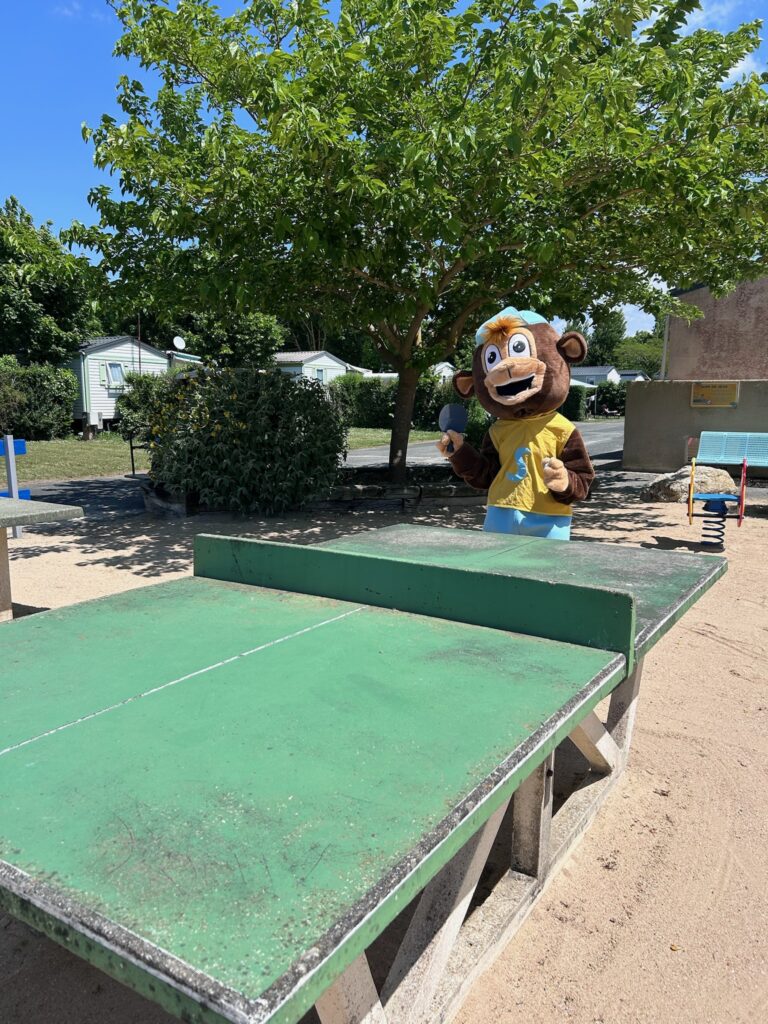 Sport et bien-être au camping à La Rochelle - Aytré